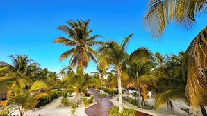 A pathway surrounded by palm trees and a sandy area, leading towards a building. - Alito Tulum Hotel (Tulum)