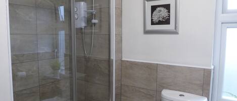 A bathroom with a glass-enclosed shower, a toilet, and a framed picture on the wall.