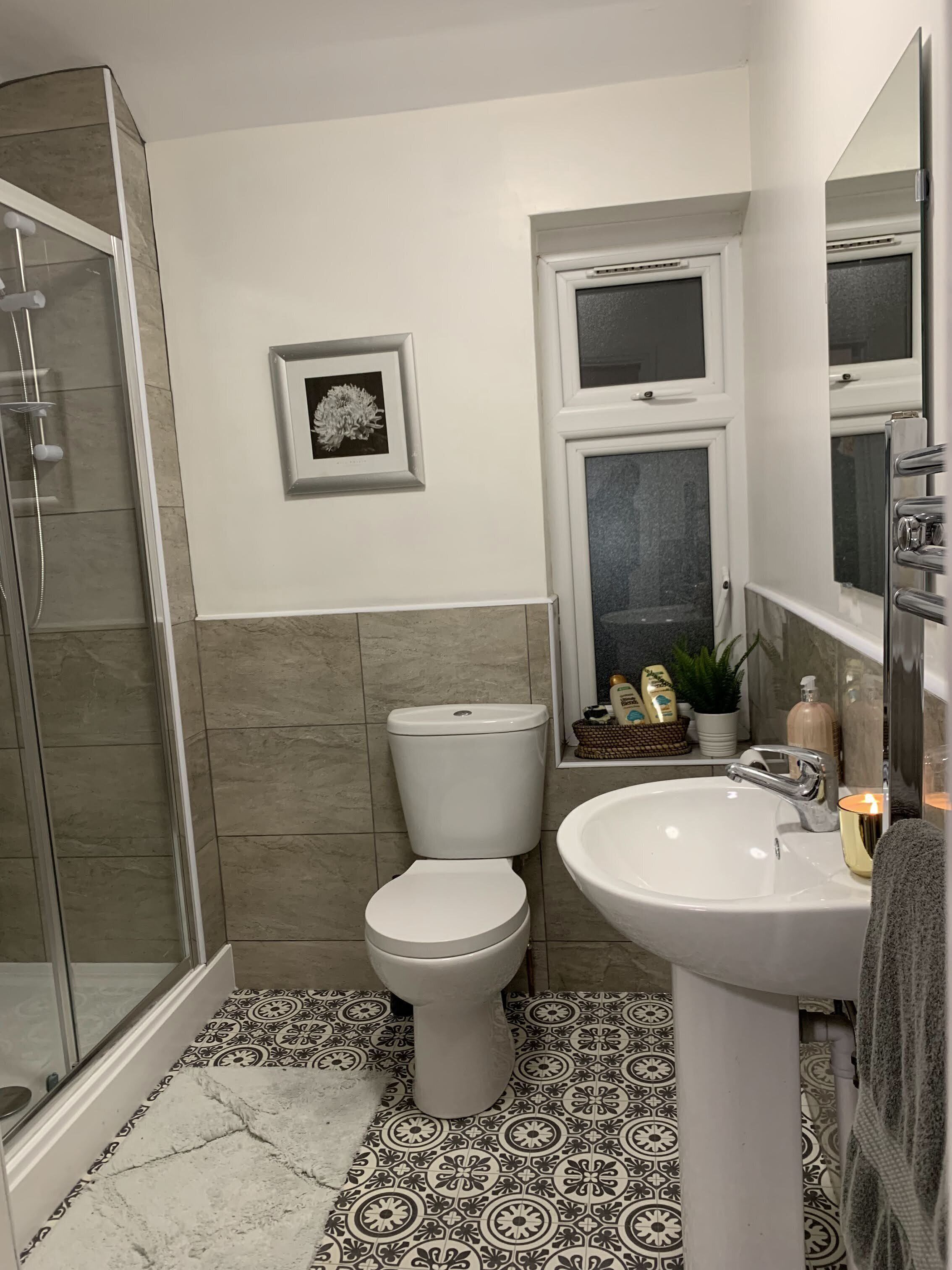Shower, hair dryer, towels