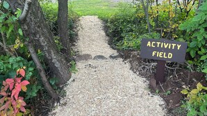 A pathway leading to an activity field with a sign, surrounded by trees and greenery.
