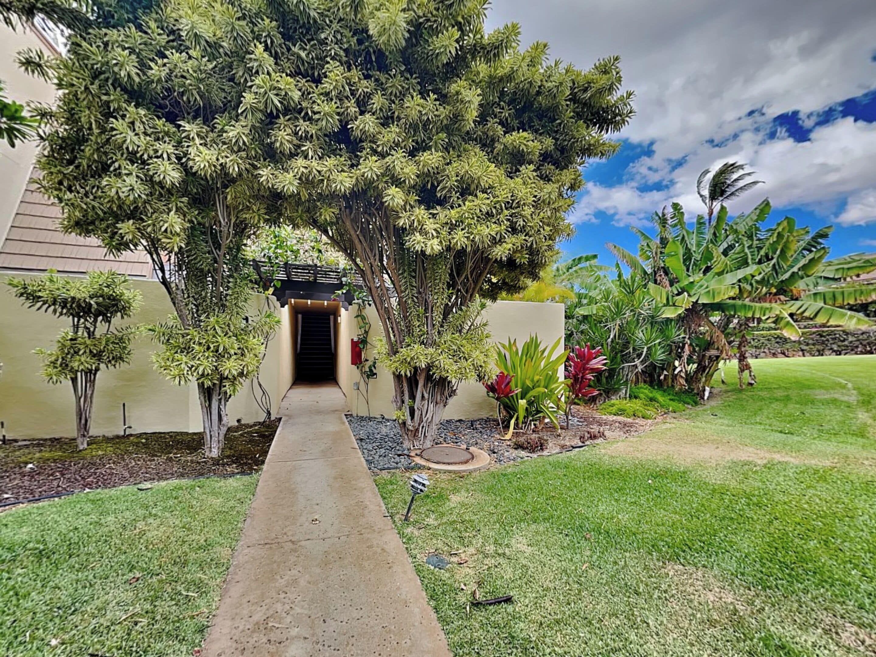A pathway leading to a building entrance, surrounded by various tropical plants and a well-maintained lawn.