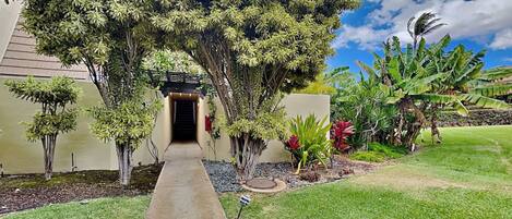 A pathway leading to a building entrance, surrounded by various tropical plants and a well-maintained lawn.