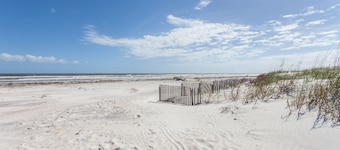 Ocean & Racquet