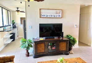 Smart TV, reproductor de DVD y libros 