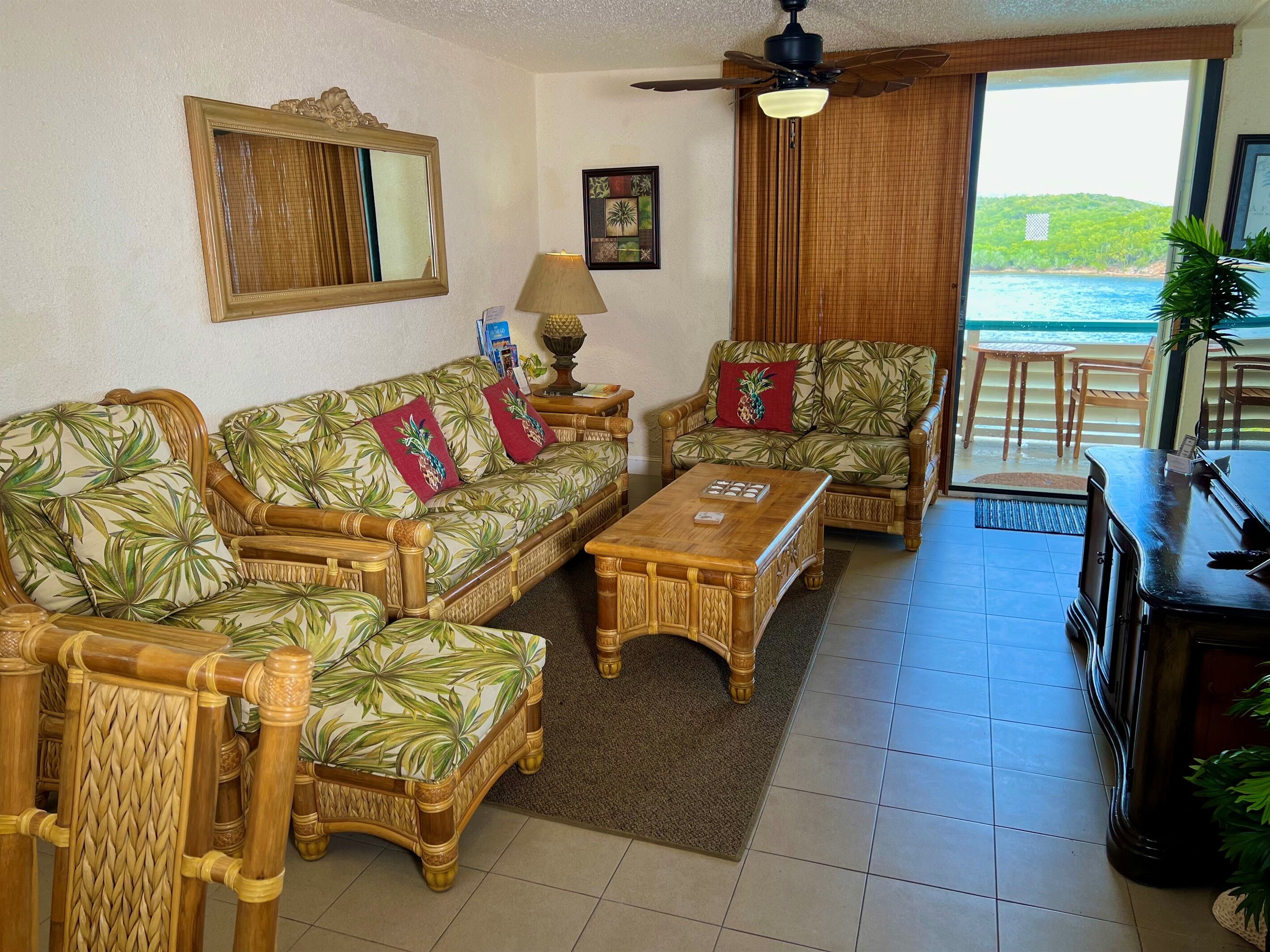 Smart TV, DVD player, books