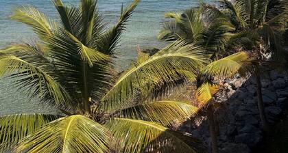 Discover Your Island Oasis: St. Thomas Condo