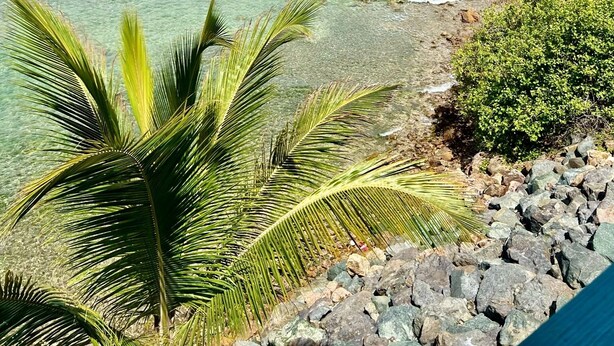 A tropical beach with clear turquoise water, rocky shoreline, and palm trees. - Stunning St. Thomas Condo for Your Tropical Escape (St. Thomas)