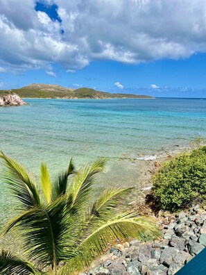 A tropical beach with clear turquoise water, rocky shoreline, and palm trees.