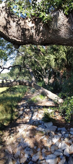 Property grounds - Family size condo minutes from beaches and shopping (Hilton Head Island)