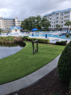 Indoor pool, outdoor pool - Family size condo minutes from beaches and shopping (Hilton Head Island)