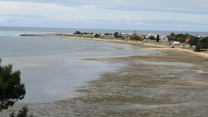 A coastal area with a beach, houses, and a clear sky.