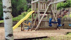 A wooden play structure with a slide and swings in a park. - Cabin 8 | Northwoods (Nevis Township)