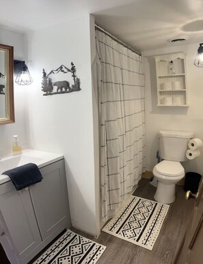 Combined shower/bathtub, hair dryer