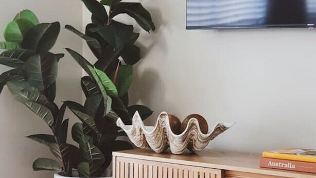 A living room with a wooden cabinet, a potted plant, and a book titled "Australia" on a shelf.