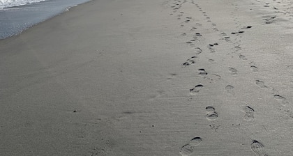 Remodeled 1910 Cottage Home in Historic Georgetown within one block of downtown.