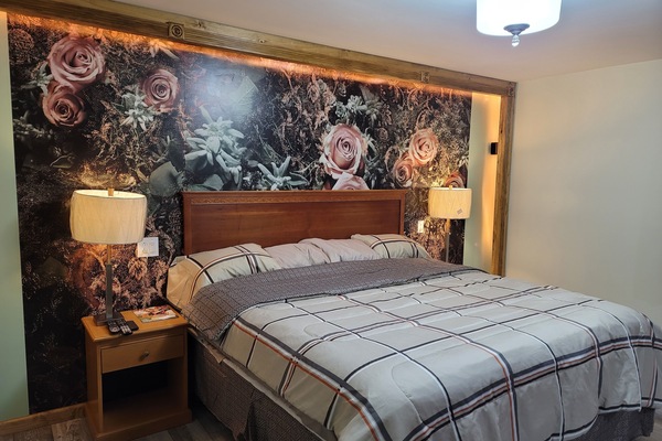 King Room | Iron/ironing board, free WiFi