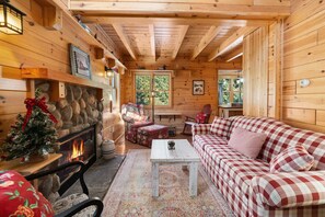 Televisión, chimenea, reproductor de DVD y libros 