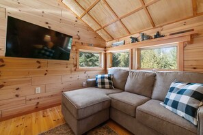 Televisión, chimenea, reproductor de DVD y libros 