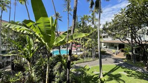 Ein Poolbereich, umgeben von üppiger tropischer Vegetation, darunter Bananenstauden und Palmen.