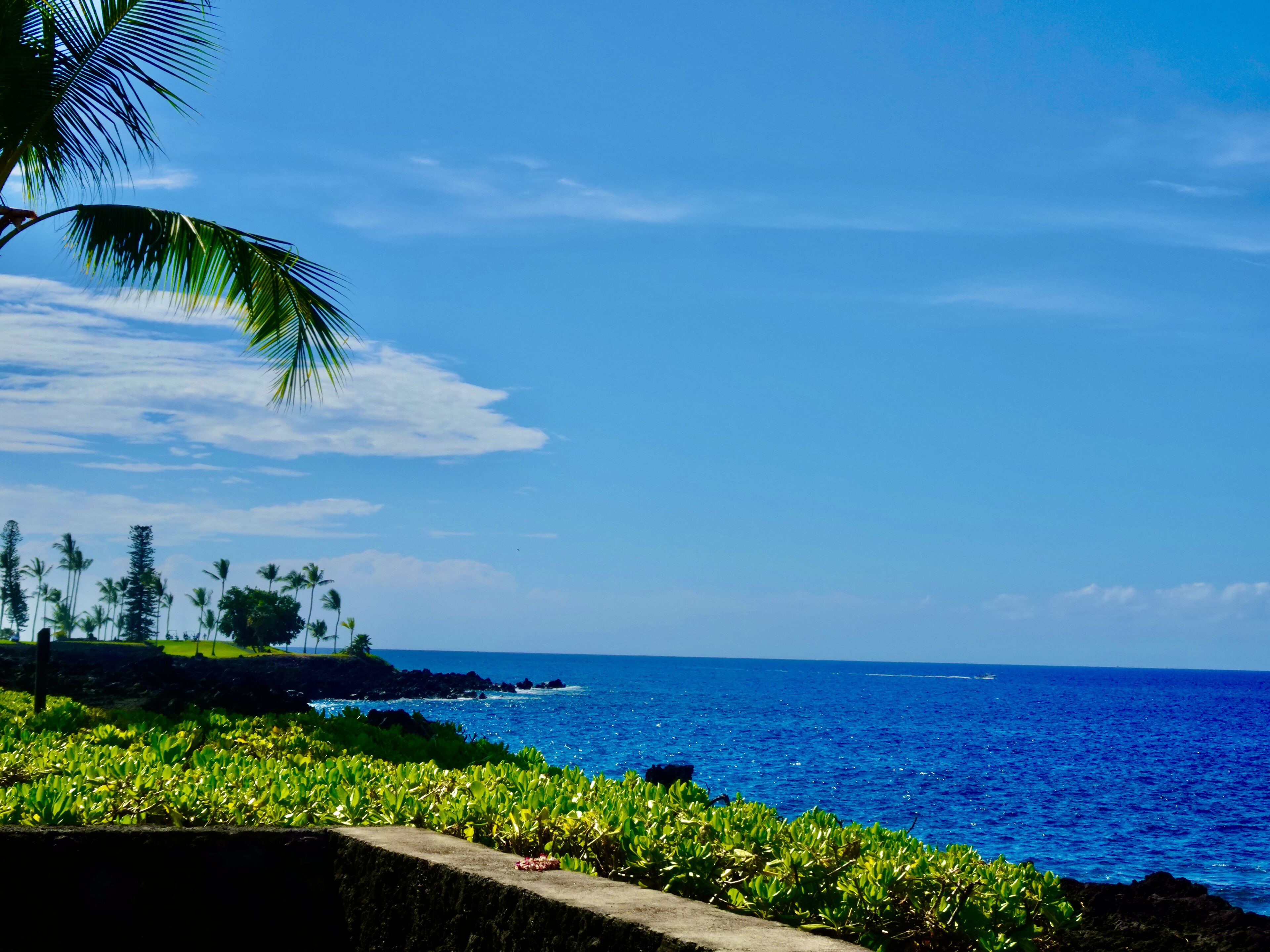 施設からの眺望