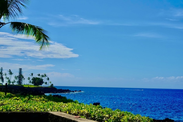 Vista desde la propiedad