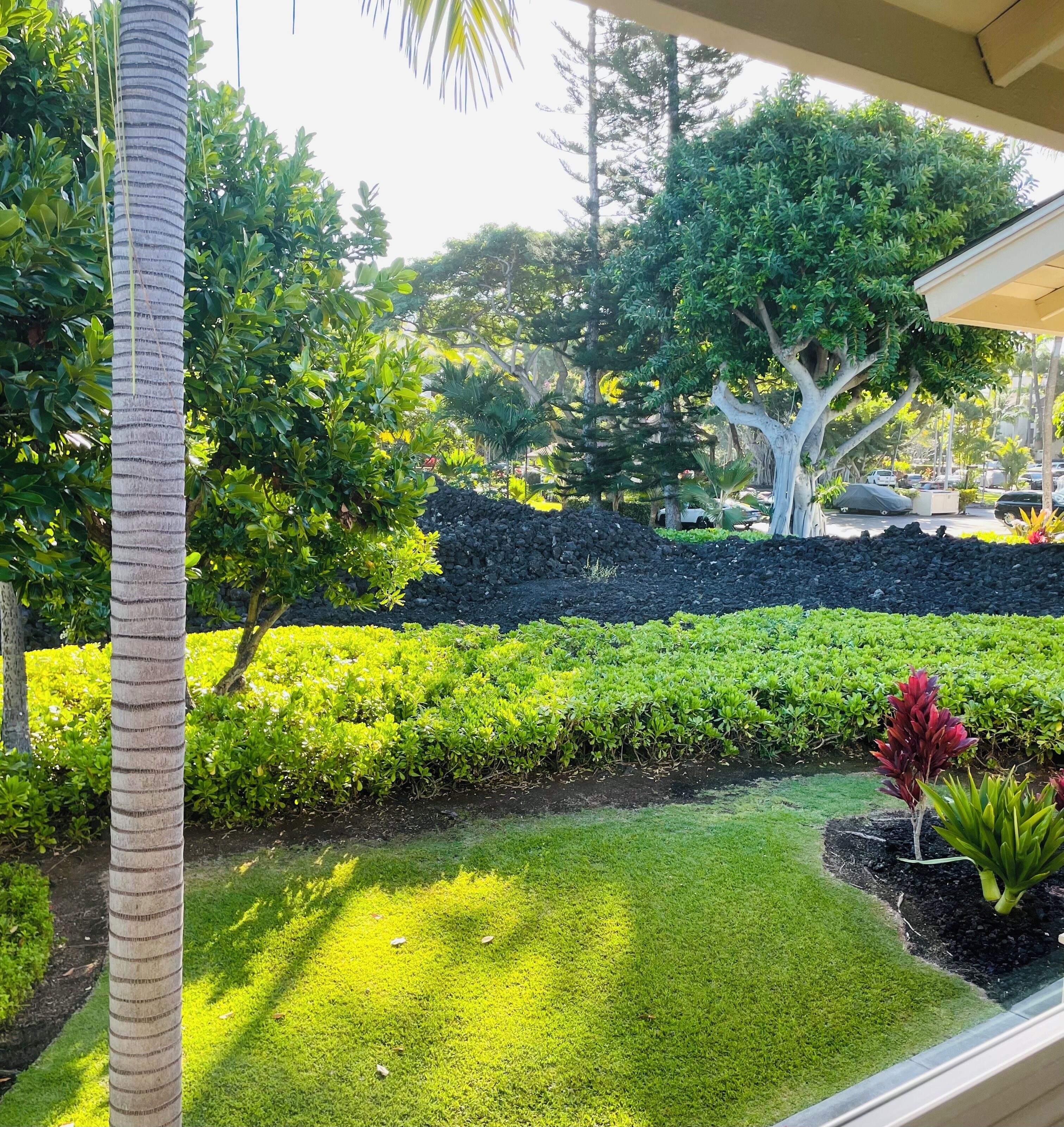 A well-maintained garden with a variety of plants, a lawn, and a stone wall.