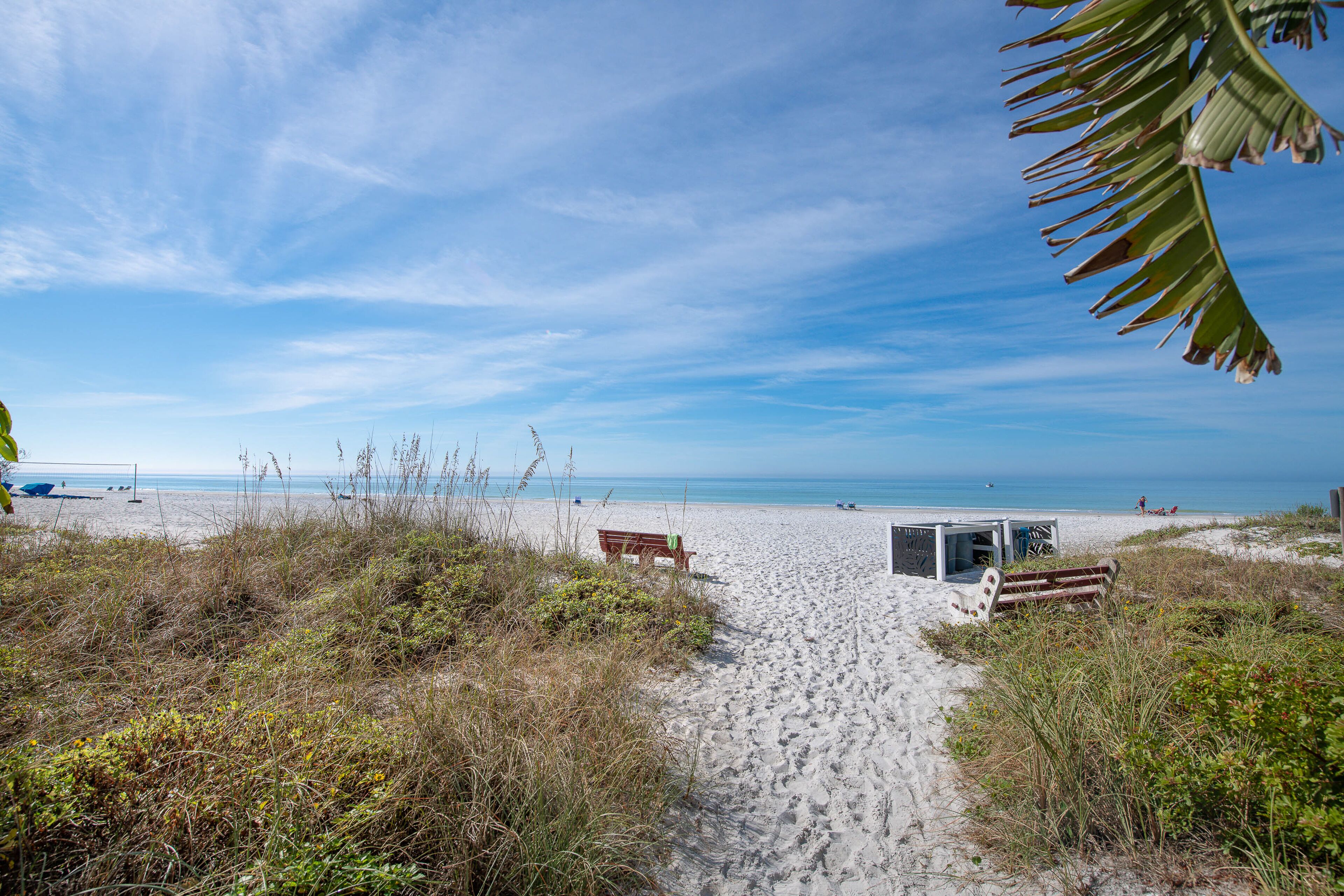 Sun-loungers, beach towels