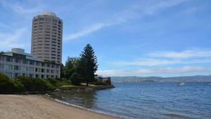 Uma praia com um edifício alto e uma árvore em primeiro plano.