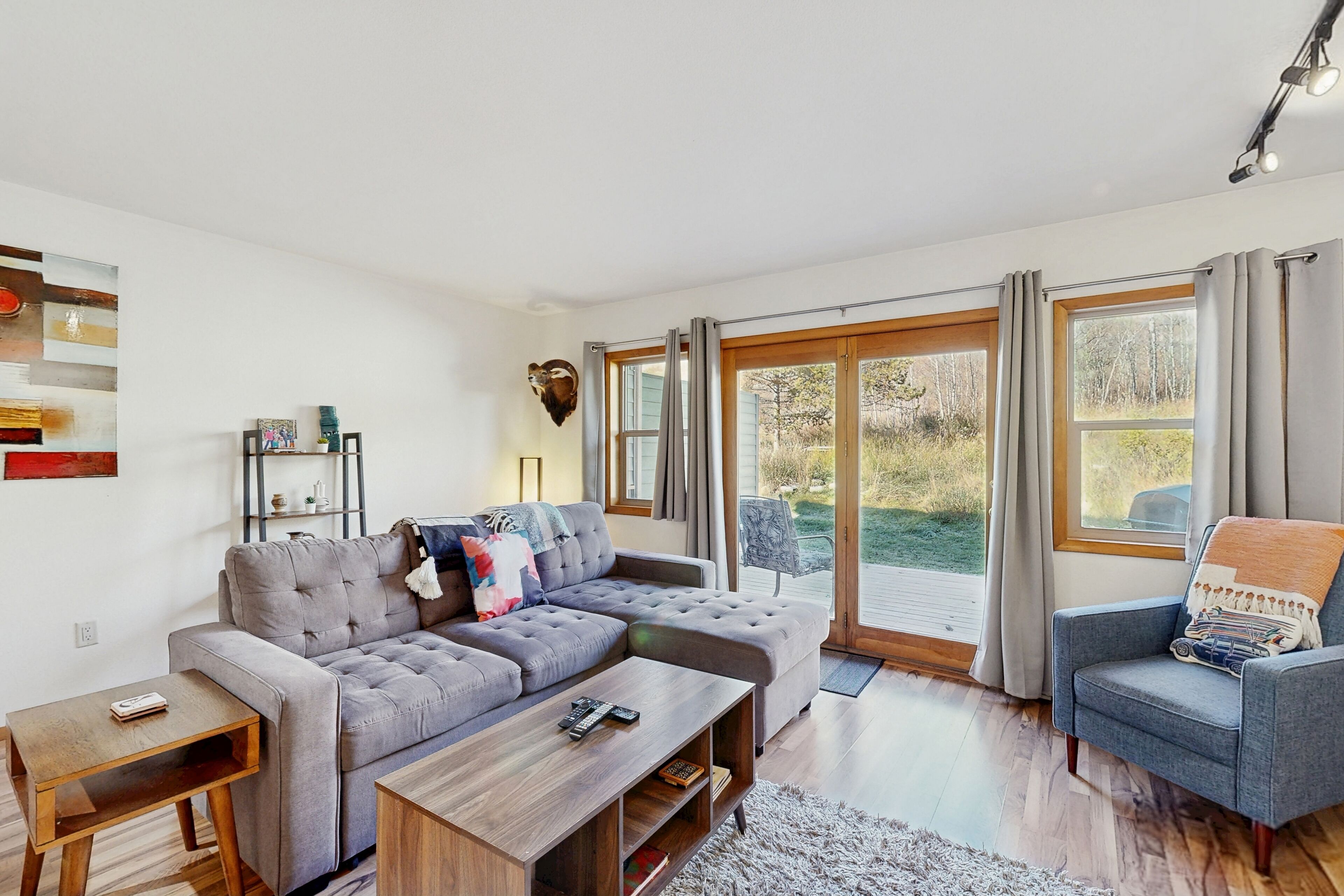 TV, fireplace, DVD player