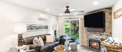 Televisión, chimenea, reproductor de DVD, libros