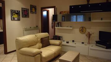 Smart TV, caminetto, lettore DVD, libri