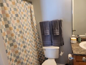 Combined shower/tub, hair dryer, towels, soap