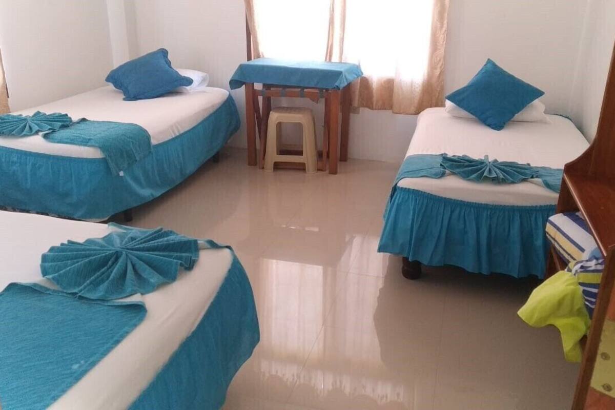 Triple Room, 3 Single Beds, City View | Down duvets, desk, free WiFi, bed sheets