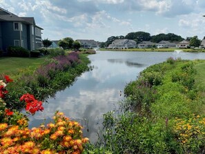 A residential area with houses, a calm water body, and lush greenery. - The Villa at Cottonwood Lane (Lewes)