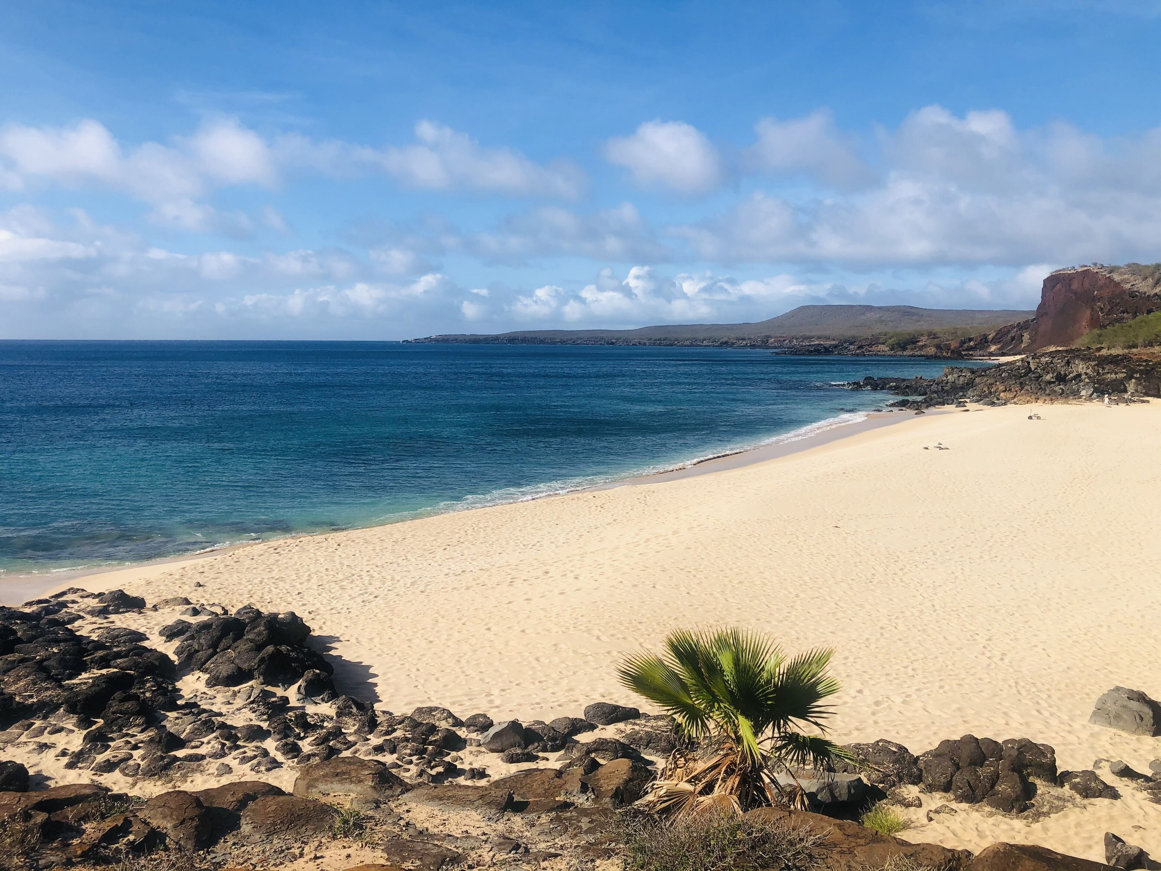 Ubicación a pie de playa, tumbonas y toallas de playa