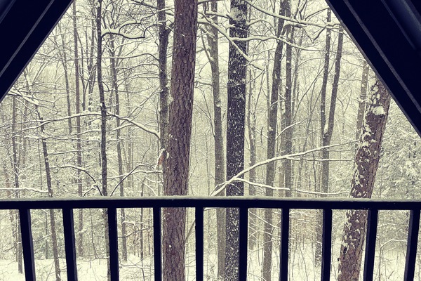 Àrea exterior de l'allotjament