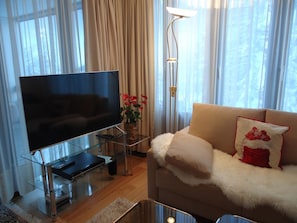 TV, fireplace