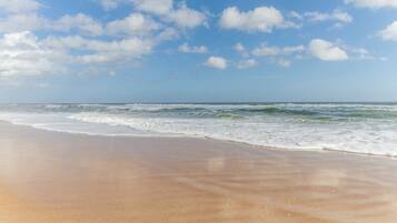 Condo (1 Bedroom) | Tiện nghi, dịch vụ nơi lưu trú