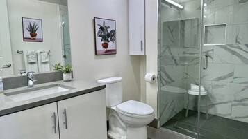 Shower, hair dryer, towels, soap