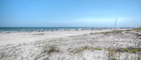 On the beach
