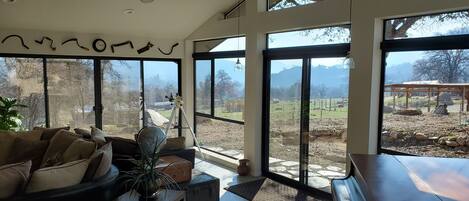 Smart TV, fireplace, video games, DVD player