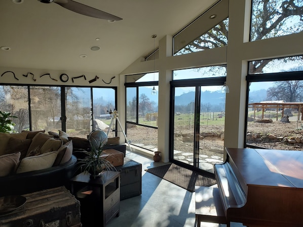 Smart TV, fireplace, video games, DVD player