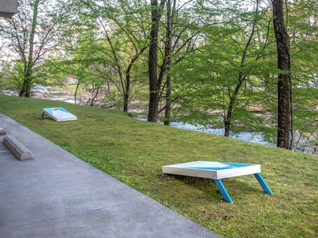 Cedar Lodge - Image 34