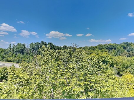 Cedar Lodge - Image 68