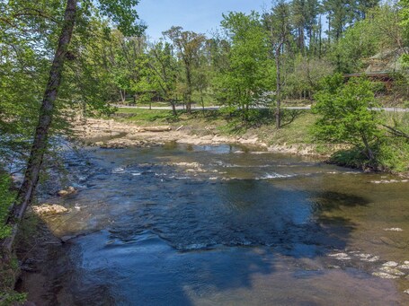 Cedar Lodge - Image 67