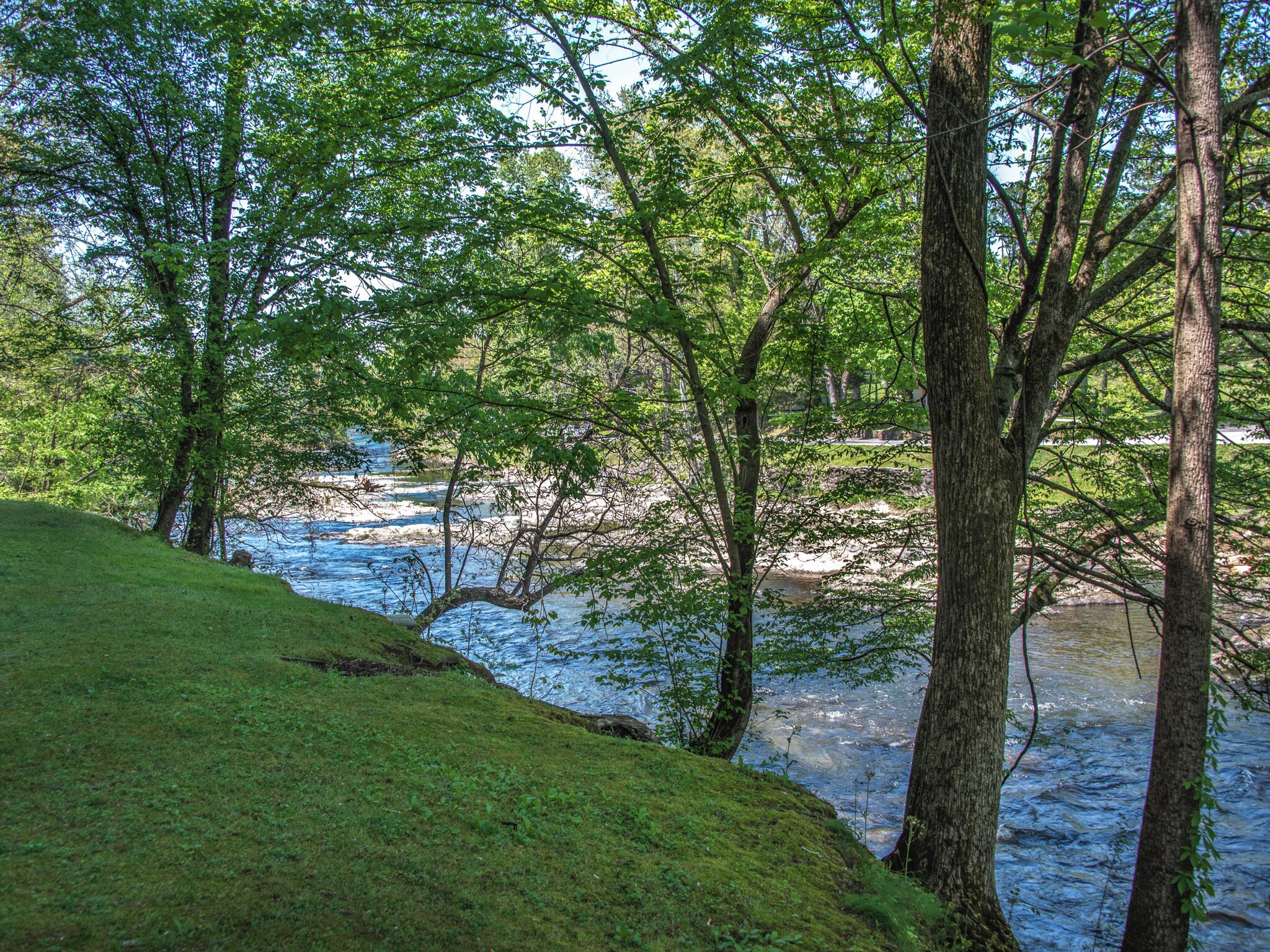 A river flowing through a forested area with trees and grassy banks.