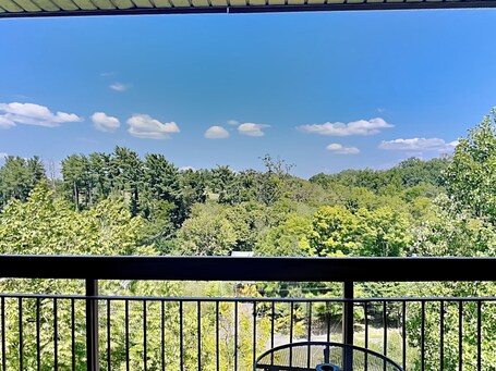 Cedar Lodge - Image 18
