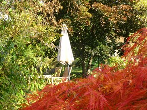 Terrain de l’hébergement 