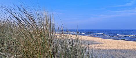 Plage à proximité