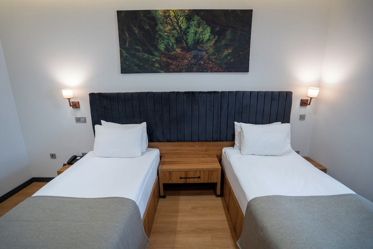 Standard Twin Room | In-room safe, soundproofing, WiFi (free), bed sheets